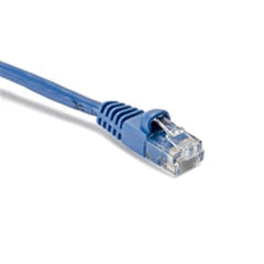 A single blue Ethernet cable is displayed on a white background.