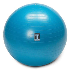 Soft Weighted Toning Ball Pregnant Womens Exercise Balls, for Yoga, Pilates, Fitness and Strength Training, Latex Free - 500lb Weight Capacity, Grey