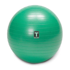 Soft Weighted Toning Ball Pregnant Womens Exercise Balls, for Yoga, Pilates, Fitness and Strength Training, Latex Free - 500lb Weight Capacity, Grey