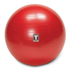 Soft Weighted Toning Ball Pregnant Womens Exercise Balls, for Yoga, Pilates, Fitness and Strength Training, Latex Free - 500lb Weight Capacity, Grey