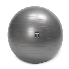 Soft Weighted Toning Ball Pregnant Womens Exercise Balls, for Yoga, Pilates, Fitness and Strength Training, Latex Free - 500lb Weight Capacity, Grey