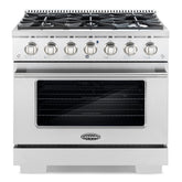 GRP366 36 in. Vista Collection 4.5 cu. ft. Gas Range, 6 Burners, Convection Oven, LED Light Panel in Modern Stainless Steel