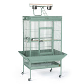 Pet Products Wrought Iron Select Bird Cage 3153SAGE, Sage Green, 30-Inch by 22-Inch by 63-Inch