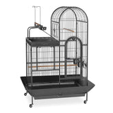 Pet Products Double Roof Steel Bird Cage with Playtop, 36.5 x 27.25 Inch with 7/8 inch Wire Spacing for Medium to Large Birds and Small Parrots in Black Hammertone Finish