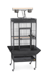 3152BLK Pet Products Wrought Iron Select Bird Cage, Black Hammertone,24'' x 20'' x 60''