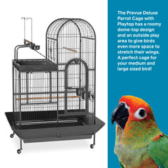 Pet Products Double Roof Steel Bird Cage with Playtop, 36.5 x 27.25 Inch with 7/8 inch Wire Spacing for Medium to Large Birds and Small Parrots in Black Hammertone Finish