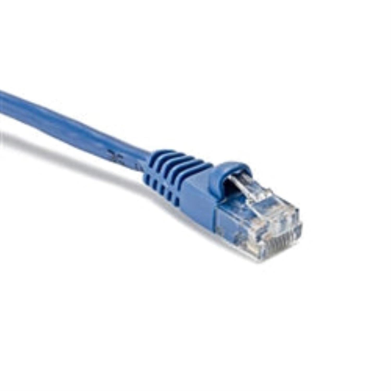A single blue Ethernet cable is displayed on a white background.