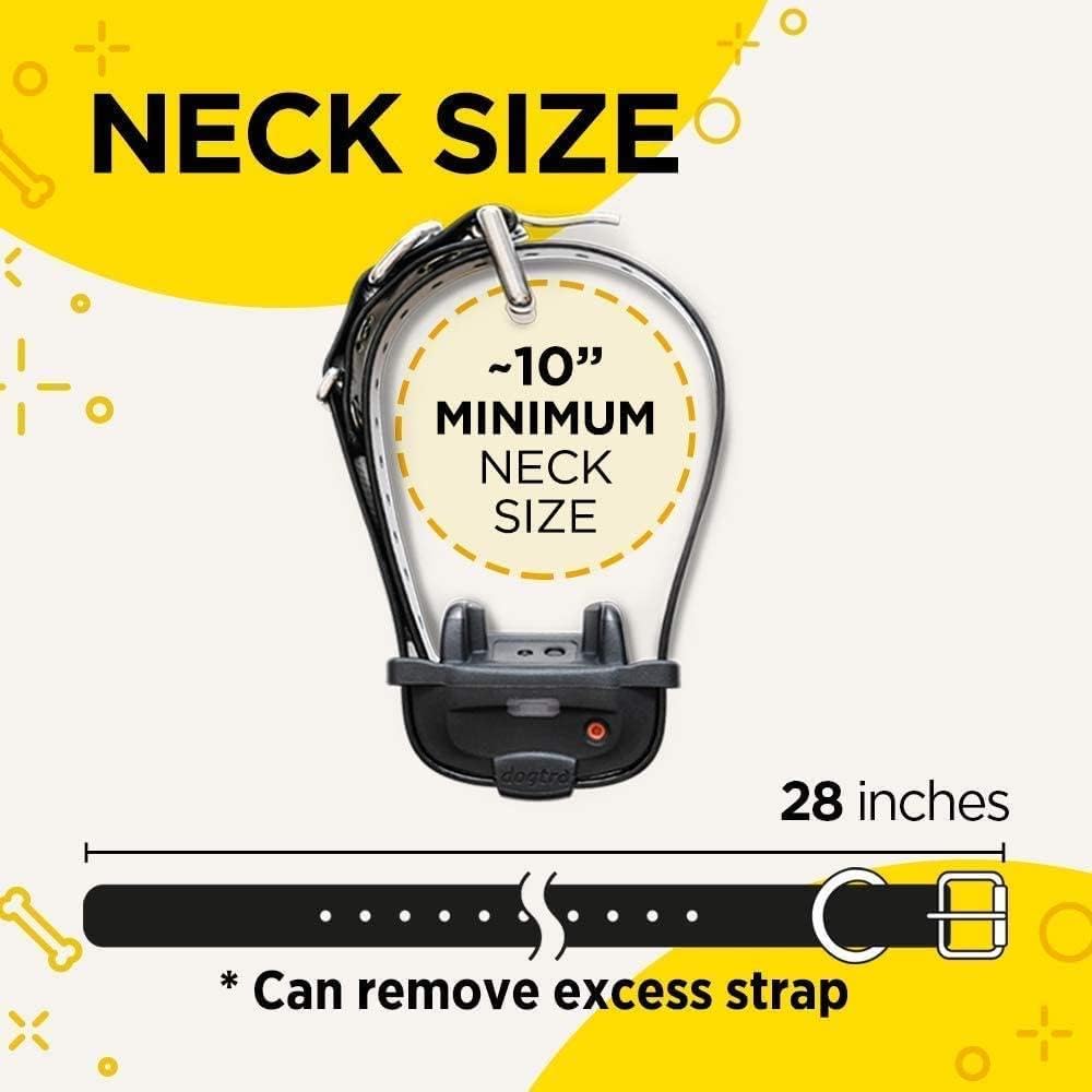 iQ Mini Rechargeable Waterproof Mini Dog Training E-Collar with Water-Resistant Remote