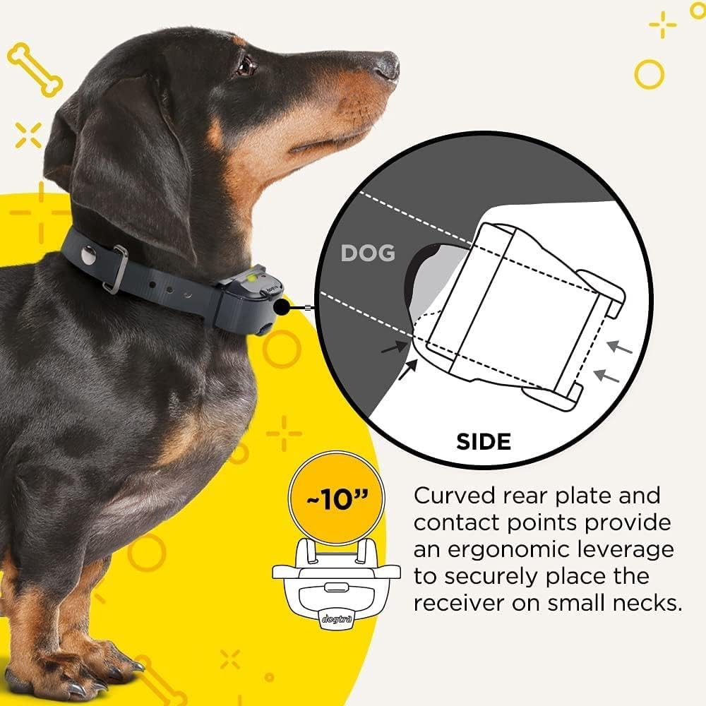 iQ Mini Rechargeable Waterproof Mini Dog Training E-Collar with Water-Resistant Remote