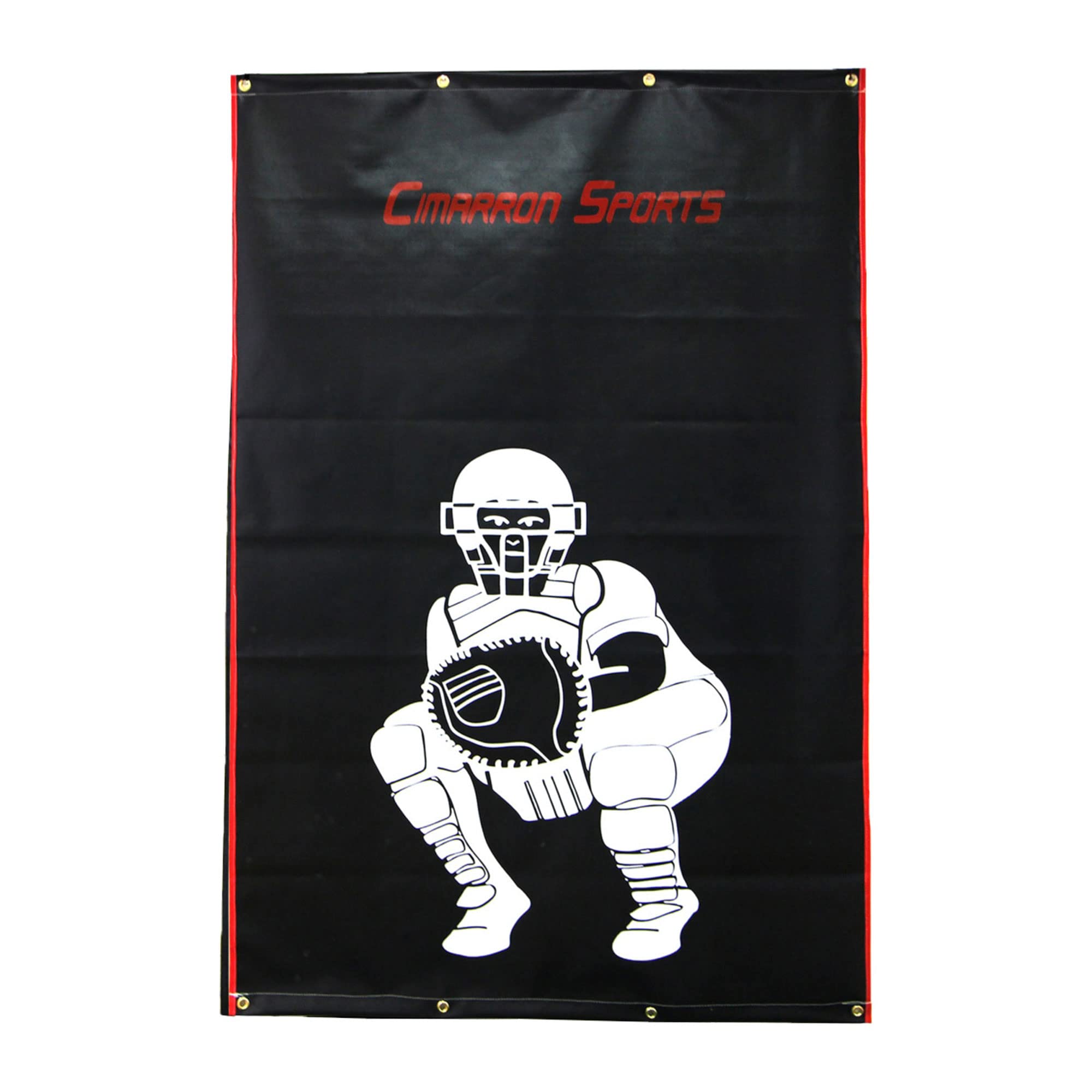 Heavy Duty Vinyl Baseball Softball Batting Cage Backstop Training Aid and Batting Cage Net Protector (4'x6')
