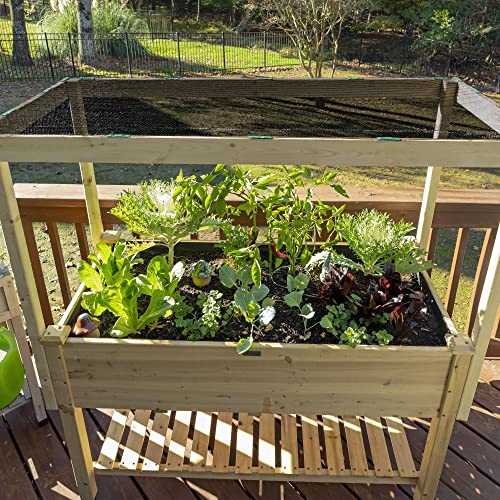 50% UV Block Garden Shade Cloth for Plants - Tear-Resistant Breathable Shade Fabric for Greenhouses, Seedlings & Early Growth, 6ftx100ft Roll, Black