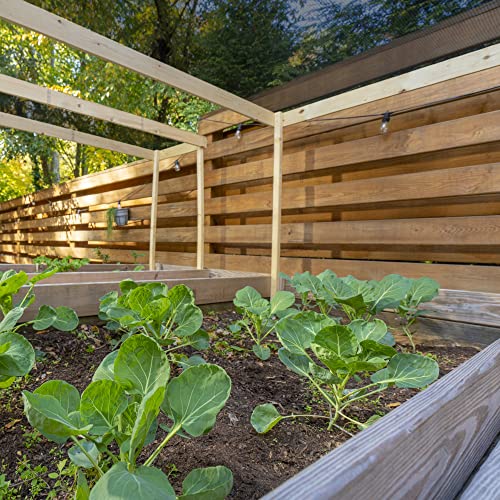 50% UV Block Garden Shade Cloth for Plants - Tear-Resistant Breathable Shade Fabric for Greenhouses, Seedlings & Early Growth, 6ftx100ft Roll, Black