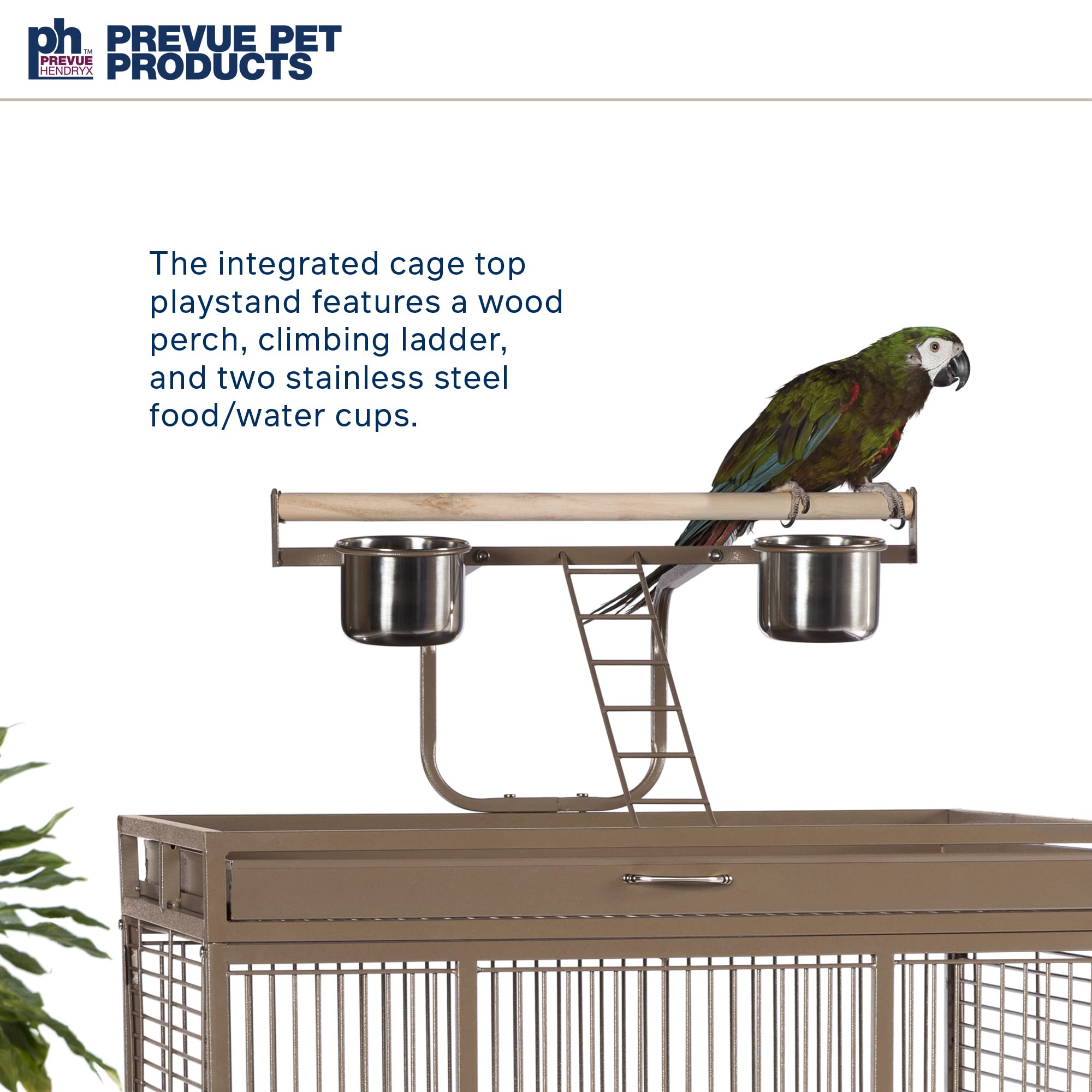 Pet Products Wrought Iron Select Bird Cage 3153COCO, Coco Brown, 30-Inch by 22-Inch by 63-Inch