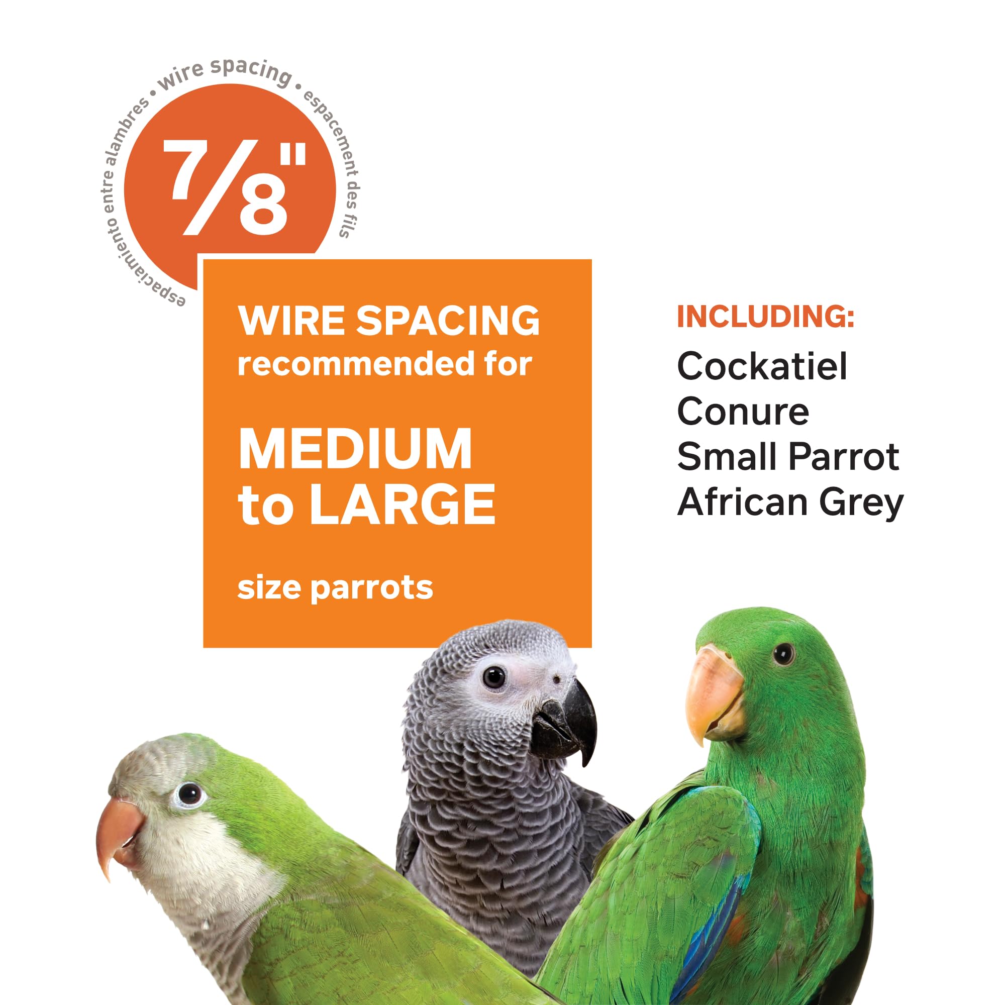 Pet Products Double Roof Steel Bird Cage with Playtop, 36.5 x 27.25 Inch with 7/8 inch Wire Spacing for Medium to Large Birds and Small Parrots in Black Hammertone Finish