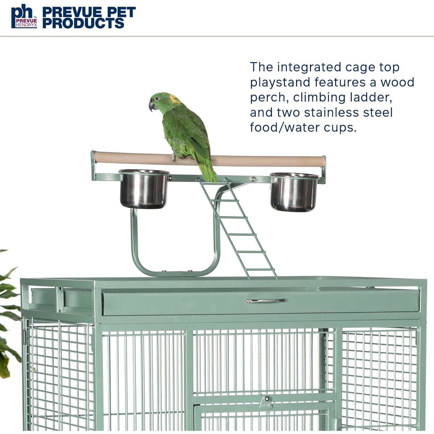 Pet Products Wrought Iron Select Bird Cage 3153SAGE, Sage Green, 30-Inch by 22-Inch by 63-Inch