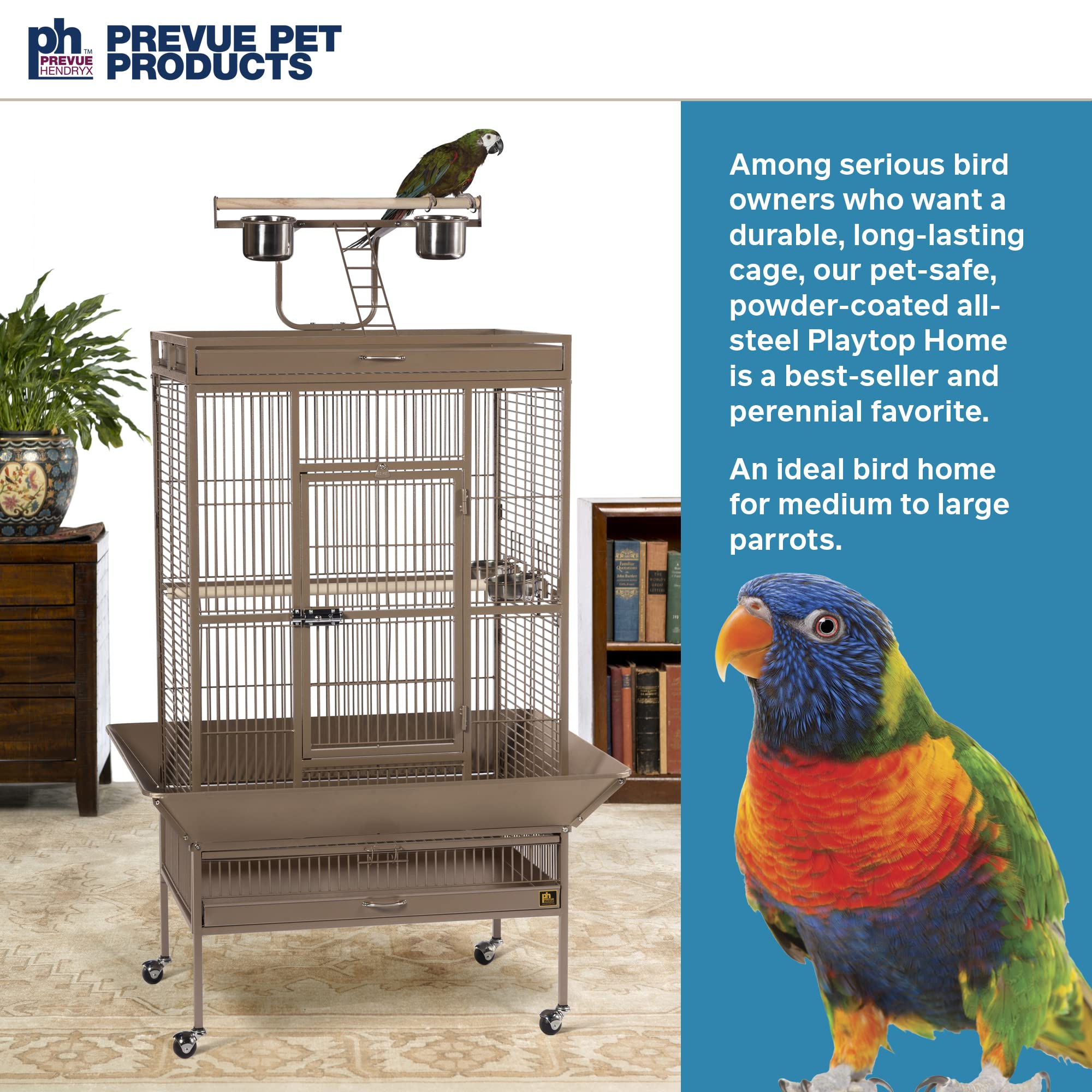 Pet Products Wrought Iron Select Bird Cage 3153COCO, Coco Brown, 30-Inch by 22-Inch by 63-Inch