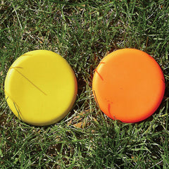Two colorful frisbees resting on a patch of green grass under bright sunlight.