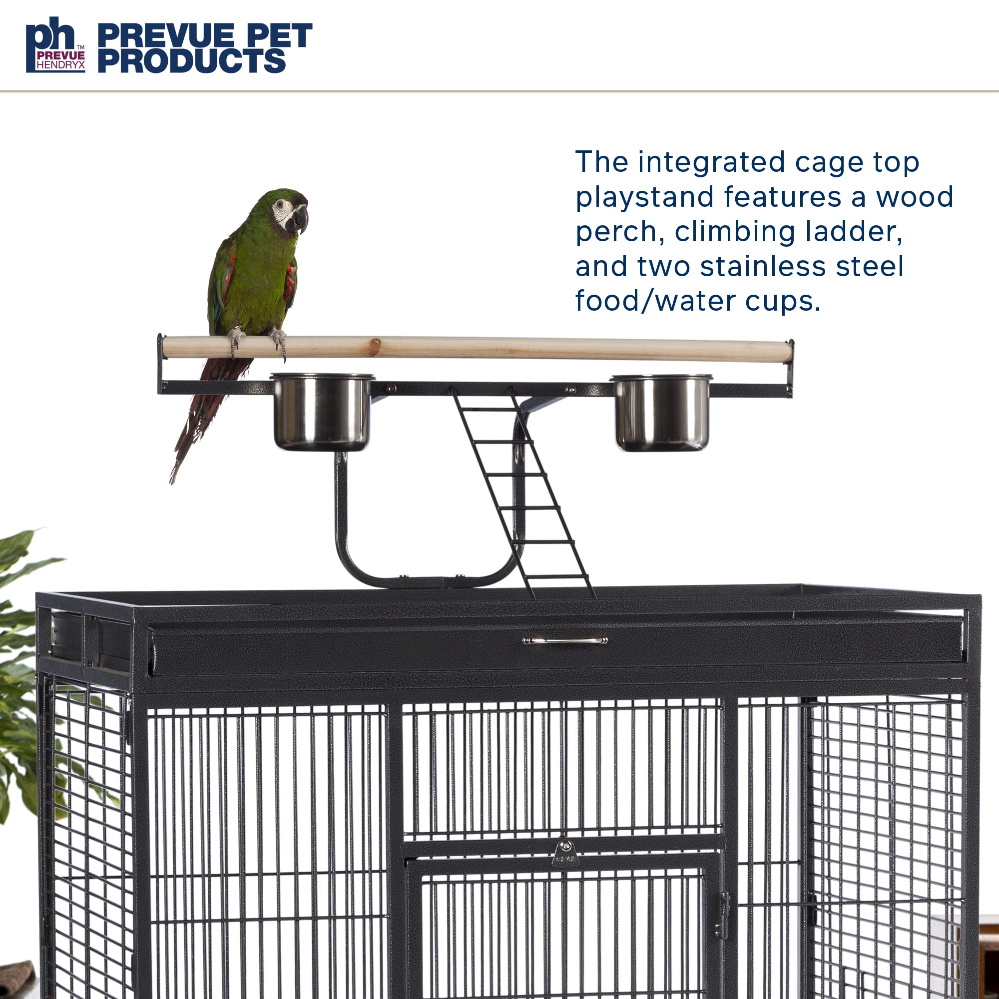 Pet Products Wrought Iron Select Bird Cage 3154BLK, Black Hammertone, 36-Inch by 24-Inch by 66-Inch
