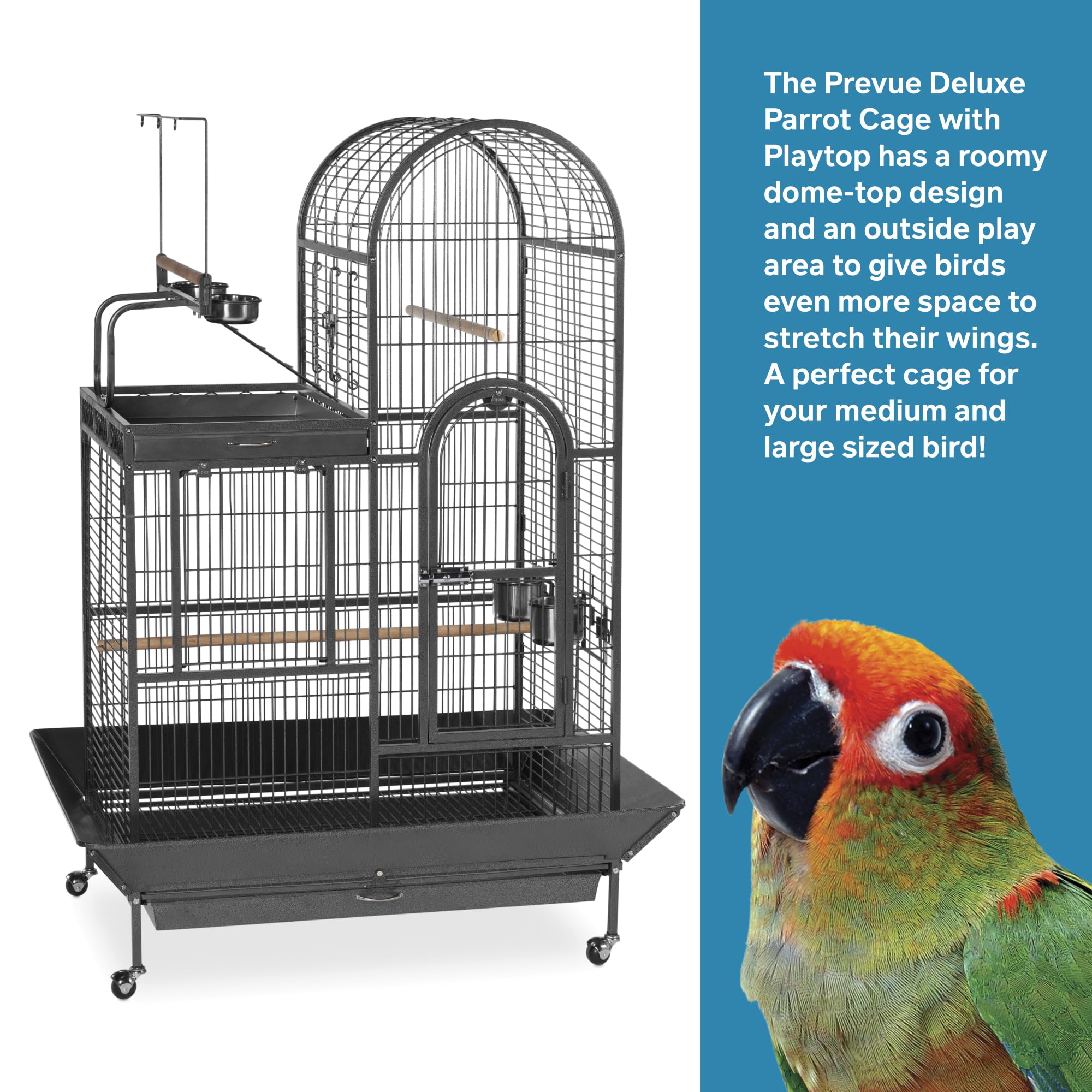 Pet Products Double Roof Steel Bird Cage with Playtop, 36.5 x 27.25 Inch with 7/8 inch Wire Spacing for Medium to Large Birds and Small Parrots in Black Hammertone Finish