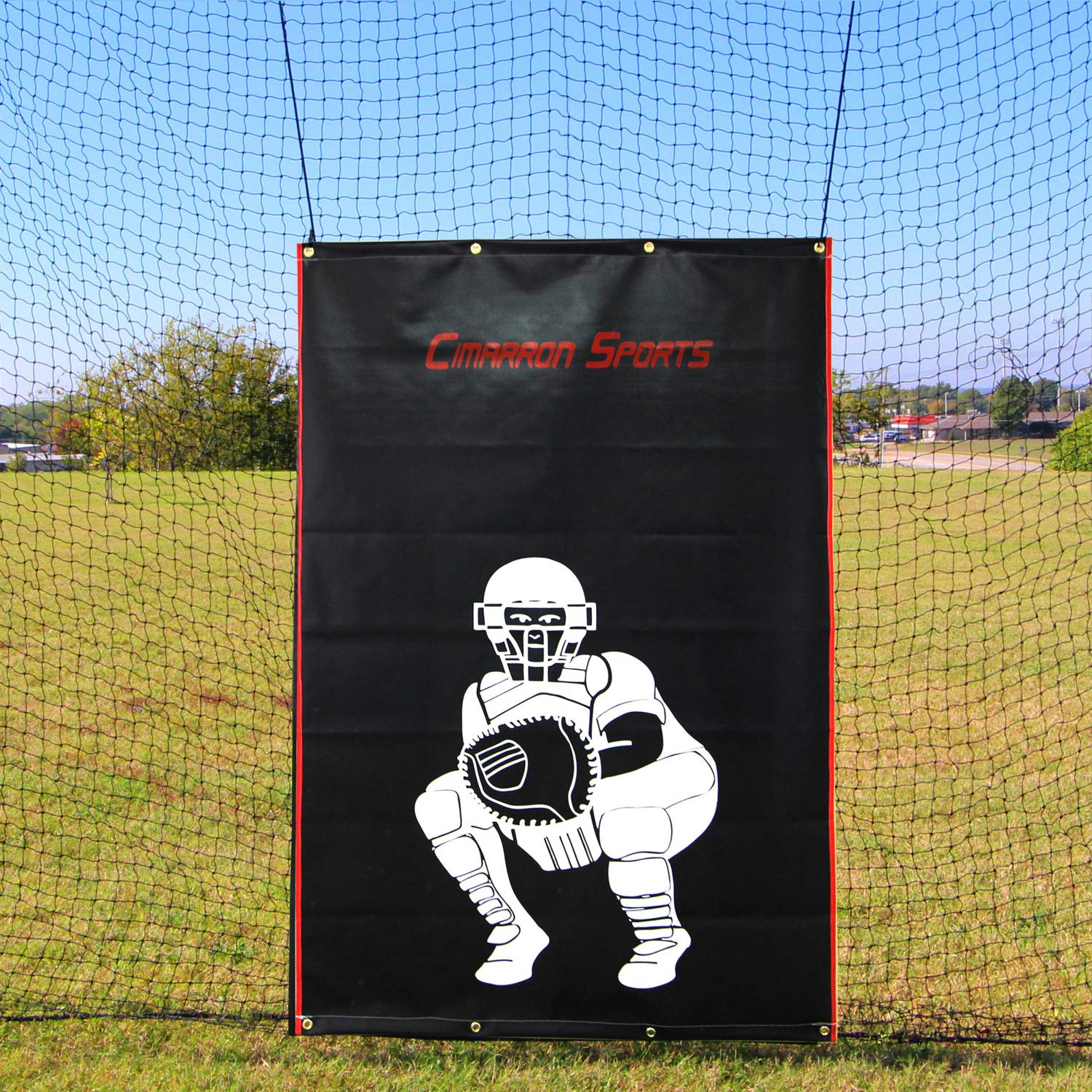Heavy Duty Vinyl Baseball Softball Batting Cage Backstop Training Aid and Batting Cage Net Protector (4'x6')